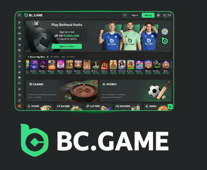 Experience Gaming on the Go with the BC.Game Mobile App -225984604